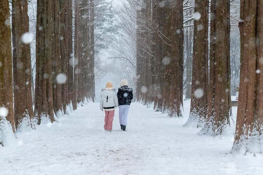 From Seoul: Nami Island, K-drama Garden & Rail Bike Day Tour - The day in four useful points
