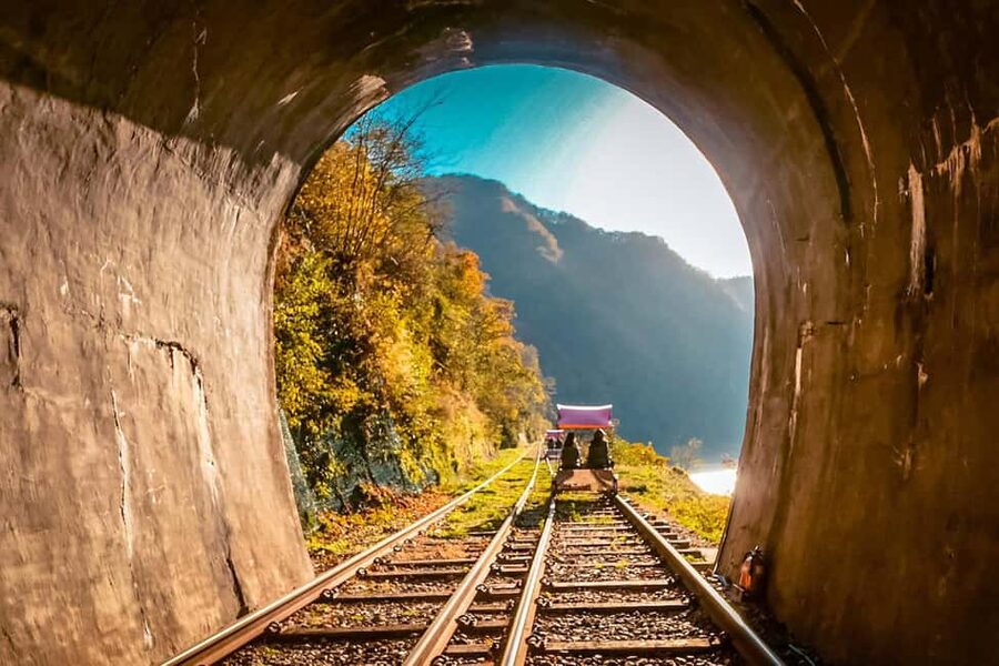 From Seoul: Nami Island, K-drama Garden & Rail Bike Day Tour - Nami Island: romantic paths and easy wandering
