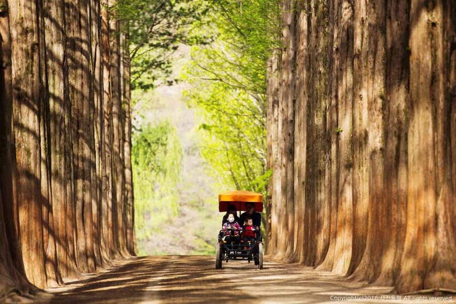From Seoul: Nami Island, K-drama Garden & Rail Bike Day Tour - Guides make or break a tightly timed day