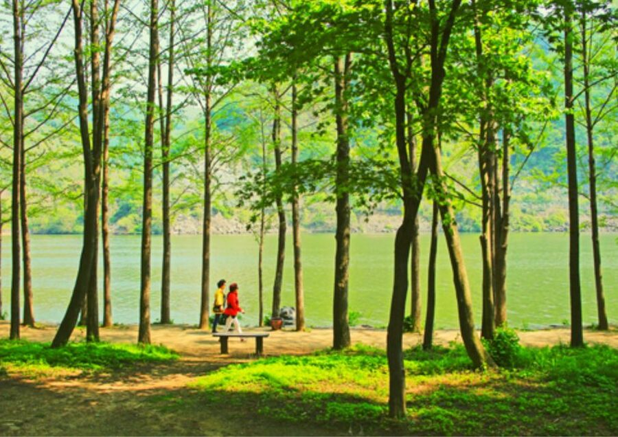 From Seoul: Nami Island, K-drama Garden & Rail Bike Day Tour - Transport, group size, and the real cost