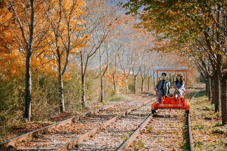 From Seoul: Nami Island, K-drama Garden & Rail Bike Day Tour - Garden of Morning Calm: a gentle start among Korean gardens