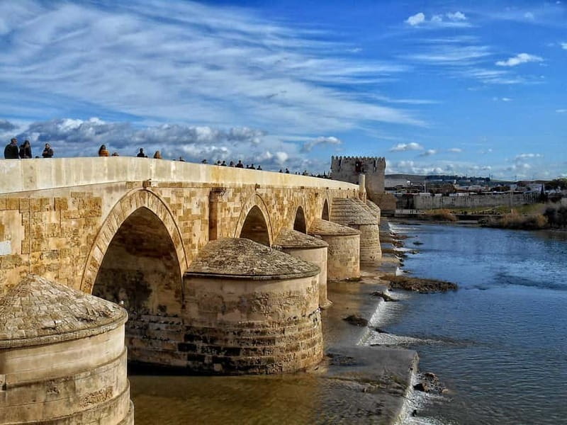 From Seville: Cordoba Day Trip with Guided Tour - The morning ride from Seville to Cordoba