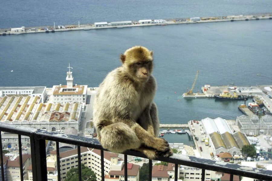 From Seville: Day Trip to Gibraltar - Why Gibraltar makes sense as a day trip from Seville