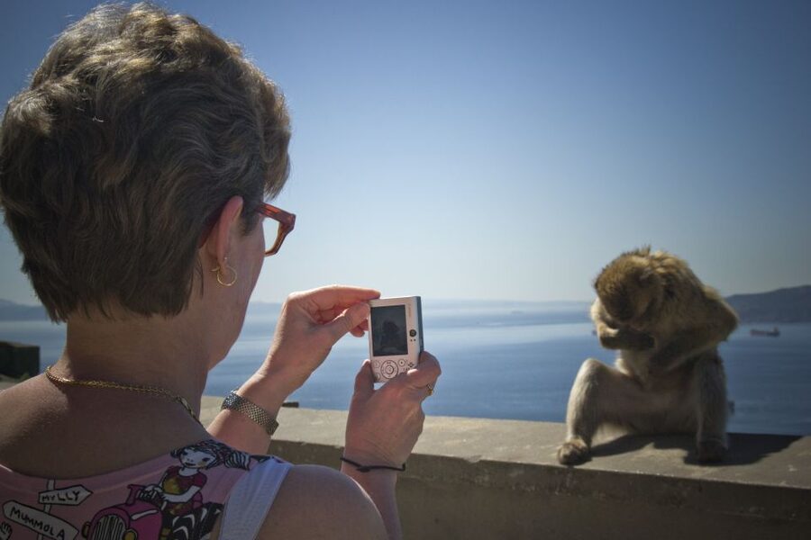 From Seville: Day Trip to Gibraltar - Guides and group management make a real difference