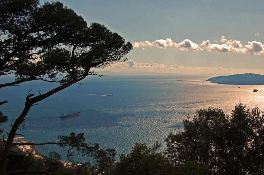 From Seville: Full-Day Trip to Gibraltar - Why this Seville day trip works