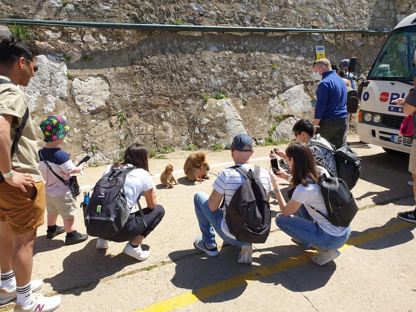 From Seville: Full-Day Trip to Gibraltar - Up the Rock to St. Michael’s Cave