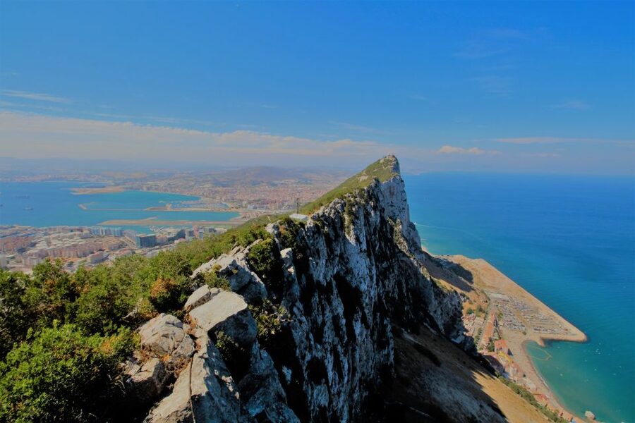 From Seville: Full-Day Trip to Gibraltar - Back to Main Street for free time
