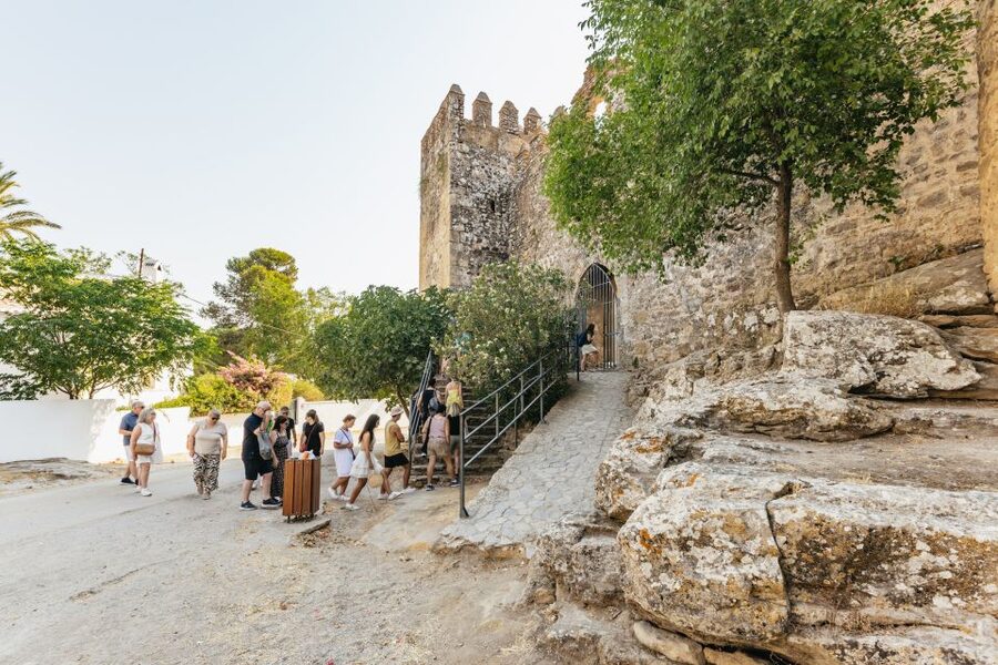 From Seville: Pueblos Blancos and Ronda Full-Day Trip - Who should book this excursion?