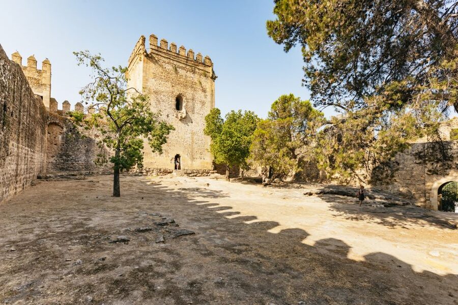 From Seville: Pueblos Blancos and Ronda Full-Day Trip - Grazalema, lunch, and the natural park