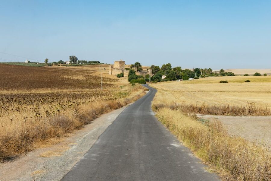 From Seville: Pueblos Blancos and Ronda Full-Day Trip - The road to Ronda, with cork, goats, and mountain views