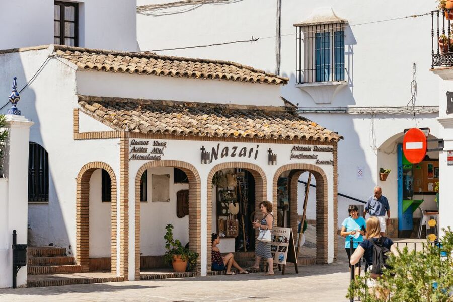 From Seville: Pueblos Blancos and Ronda Full-Day Trip - The guide can make or break the day