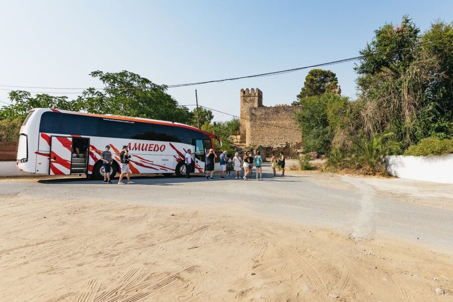 From Seville: Pueblos Blancos and Ronda Full-Day Trip - Is $52 good value?