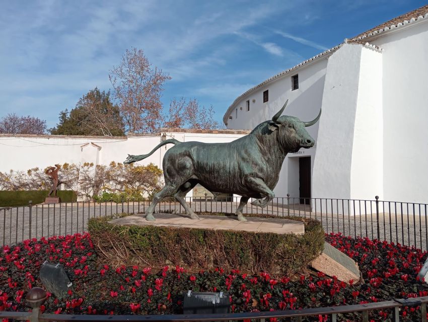 From Seville: Ronda+Setenil de las Bodegas Day Trip - Key points to know before booking