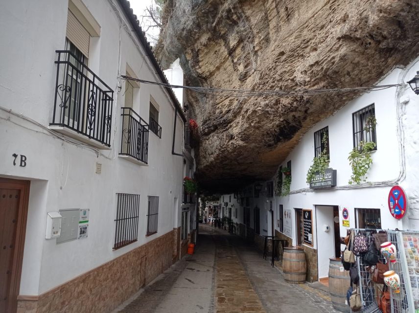 From Seville: Ronda+Setenil de las Bodegas Day Trip - Who should book this trip?