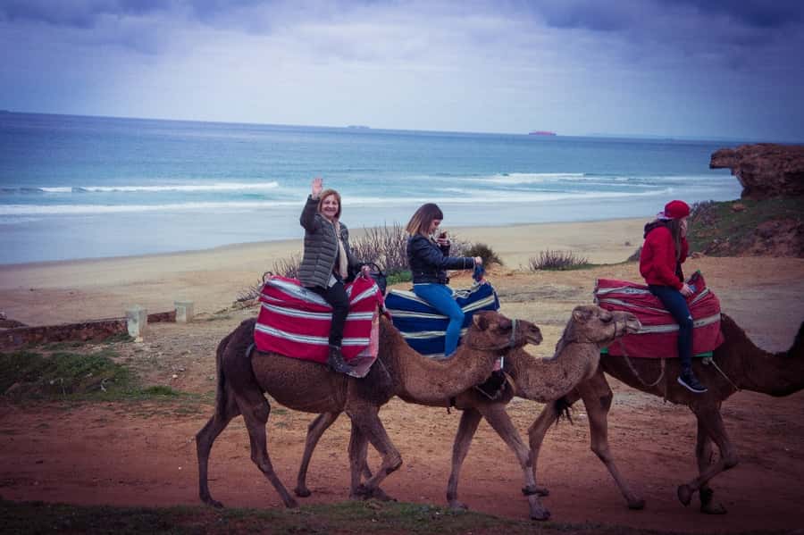 From Seville: Tangier Day Trip with Local Guide and Lunch - Key things to know before booking