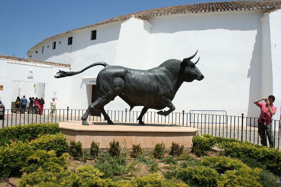 From Seville: White Villages and Ronda Full-Day Trip - The olive mill and extra-virgin oil tasting