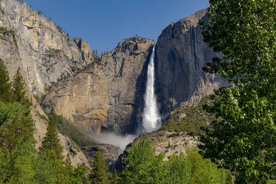From SF: Yosemite Day Trip with Giant Sequoias Hike & Pickup - Quick reasons to consider this Yosemite tour
