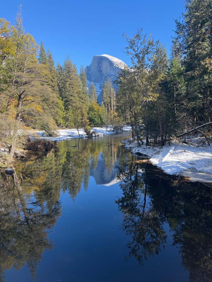 From SF: Yosemite Day Trip with Giant Sequoias Hike & Pickup - The Tuolumne Grove hike and its ancient trees