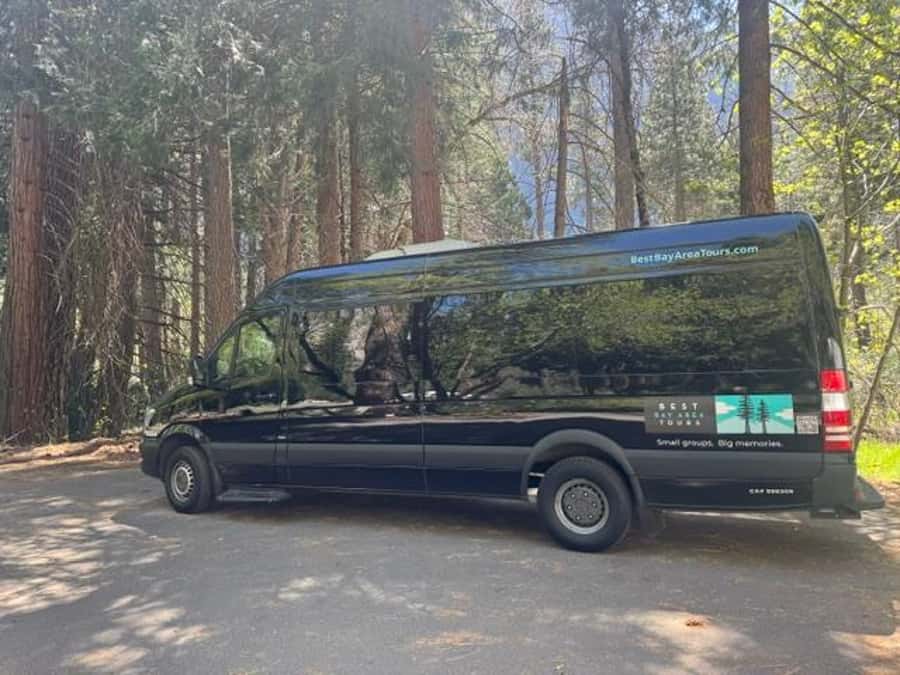 From SF: Yosemite Day Trip with Giant Sequoias Hike & Pickup - Guides, group size, and the feel of the day