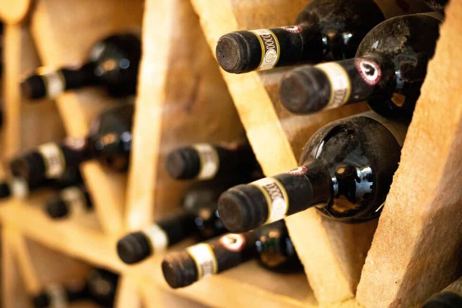 From Siena: Pisa and San Gimignano Day Trip - Is $93 a fair price?