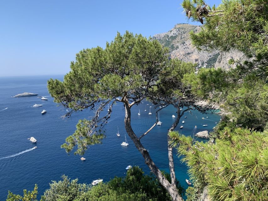 From Sorrento: Day Trip to Capri & Anacapri with Blue Grotto - Entering the Blue Grotto by paddle boat