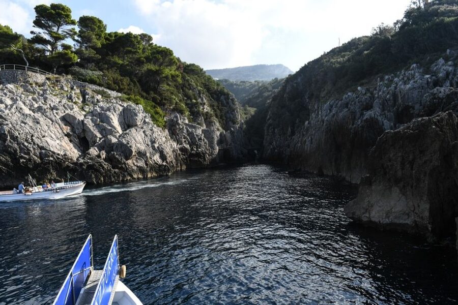 From Sorrento: Day Trip to Capri with Blue Grotto - Five hours to split between Anacapri and Capri