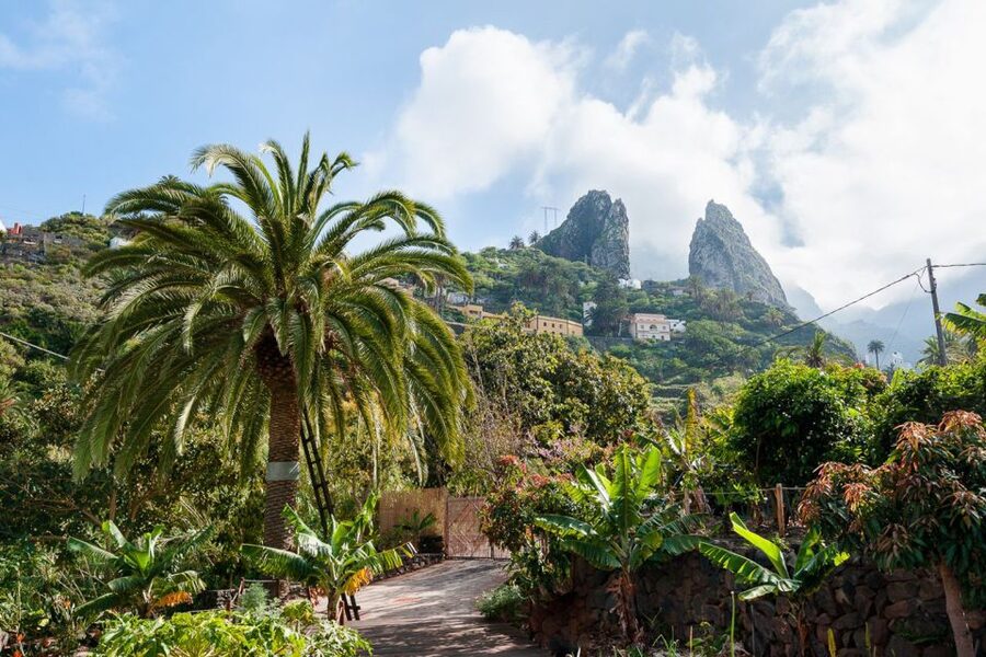 From South Tenerife: La Gomera Island Day Trip with Lunch - Who should book this day trip