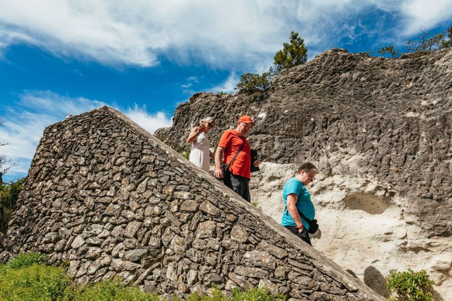 From South Tenerife: La Gomera Island Day Trip with Lunch - El Cedro forest and Garajonay National Park