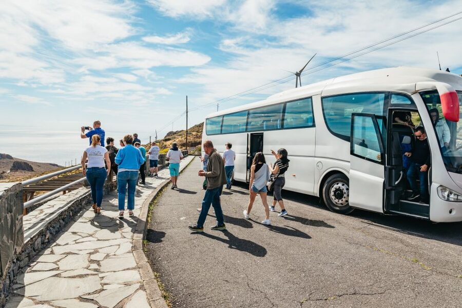 From South Tenerife: La Gomera Island Day Trip with Lunch - The guide, languages, and pace