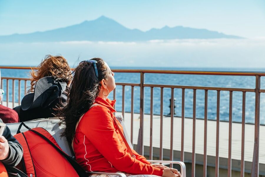 From South Tenerife: La Gomera Island Day Trip with Lunch - What the $124 price really includes