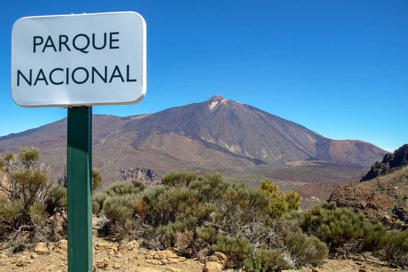 From South Tenerife: Mount Teide Hiking Day Trip & Cable Car - Who should book this Teide trip?