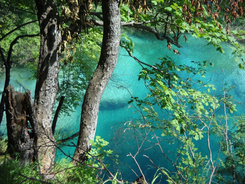 From Split: Plitvice Lakes Full-Day Trip - Who Will Enjoy This Day Trip?