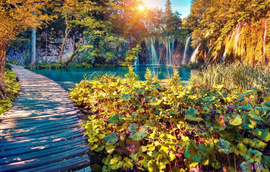 From Split: Plitvice Lakes Full-Day Trip - Entering the Park by the Lower Lakes