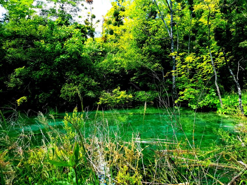 From Split: Plitvice Lakes Full-Day Trip - The Great Waterfall and Photo Stops