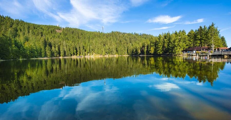From Strasbourg: Black Forest and Baden Baden Day Trip - Key points to know before booking