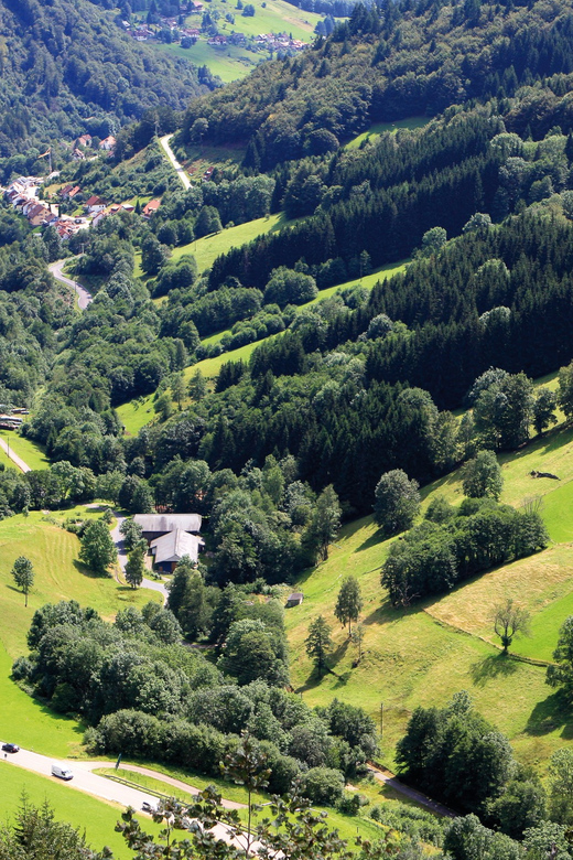 From Strasbourg: Black Forest and Baden Baden Day Trip - Why this day trip works from Strasbourg