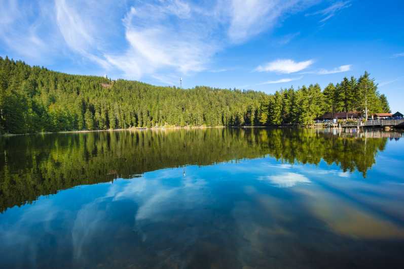 From Strasbourg: Black Forest and Baden Baden Day Trip - The Schwarzwaldhochstrasse and Upper Rhine views