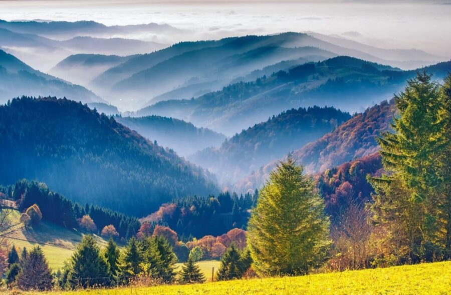 From Strasbourg: Black Forest and Baden Baden Day Trip - Mummelsee: the day’s best nature stop