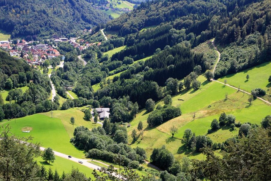From Strasbourg: Black Forest and Baden Baden Day Trip - Sasbachwalden and the Badischerweinstrasse