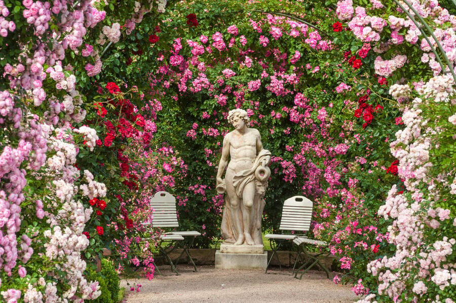 From Strasbourg: Black Forest and Baden Baden Day Trip - What the small minivan adds