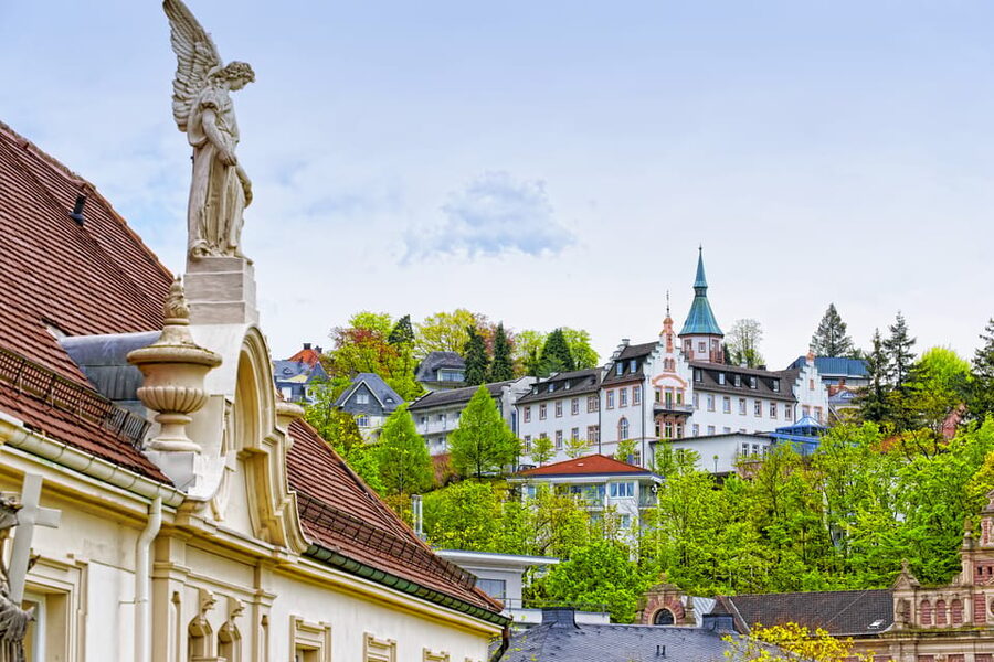 From Strasbourg: Black Forest and Baden Baden Day Trip - Who will enjoy this route most?