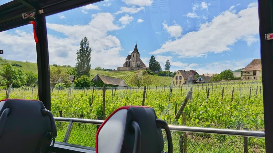 From Strasbourg: Medieval Villages & Wine Tasting Day Trip - Language, group style, and the guide