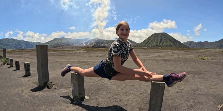 From Surabaya or Malang: Private Mt. Bromo Sunrise Day Trip - What the $178 price covers