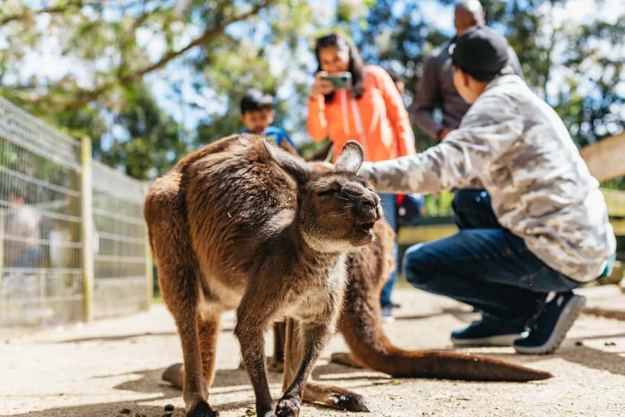 From Sydney: Blue Mountains Full-Day Trip - Leura Village gives you a proper lunch break