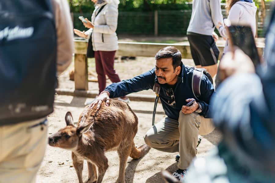 From Sydney: Blue Mountains Full-Day Trip - Scenic World’s Cableway, Skyway, and Railway
