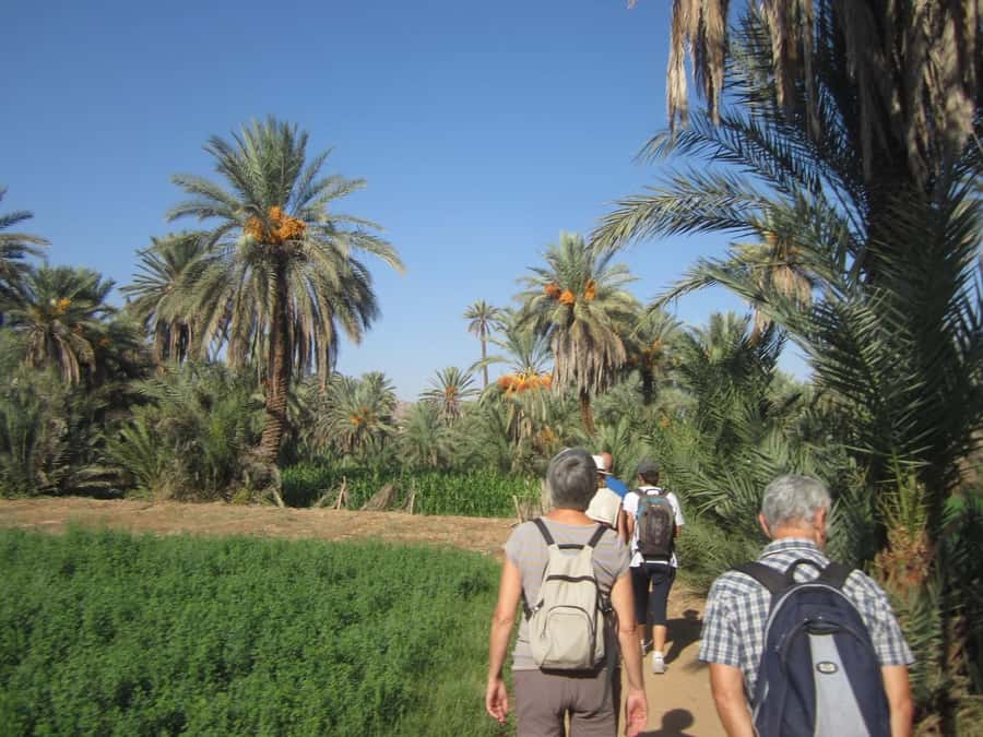 From Taghazout/Agadir: Taroudant and Tiout Day Trip & Tajine - The Tiout drive and Berber village visit