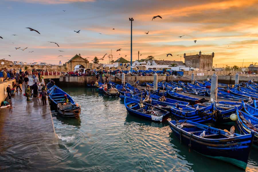 From Taghazout: Medina of Essaouira Guided Day Trip - The long road from Taghazout to Essaouira