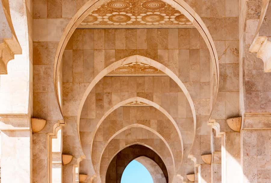 From Taghazout: Medina of Essaouira Guided Day Trip - Learning how argan oil is made