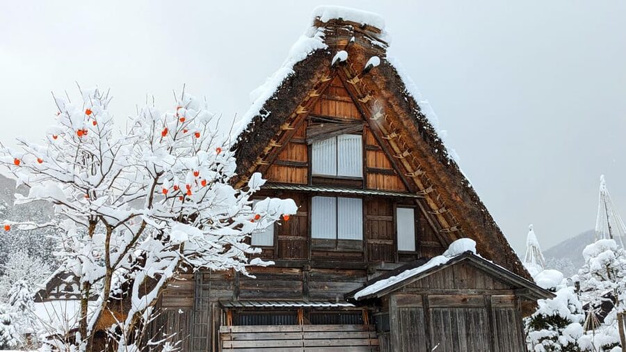 From Takayama: Guided Day Trip to Takayama and Shirakawa-go - Why this Takayama and Shirakawa-go day works