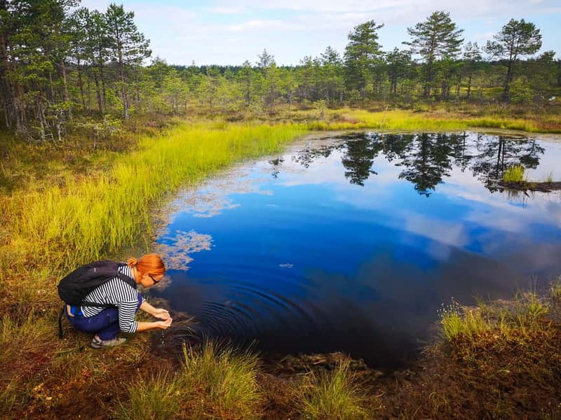 From Tallinn: Day Trip to Lahemaa National Park - Five things that make this day trip worthwhile
